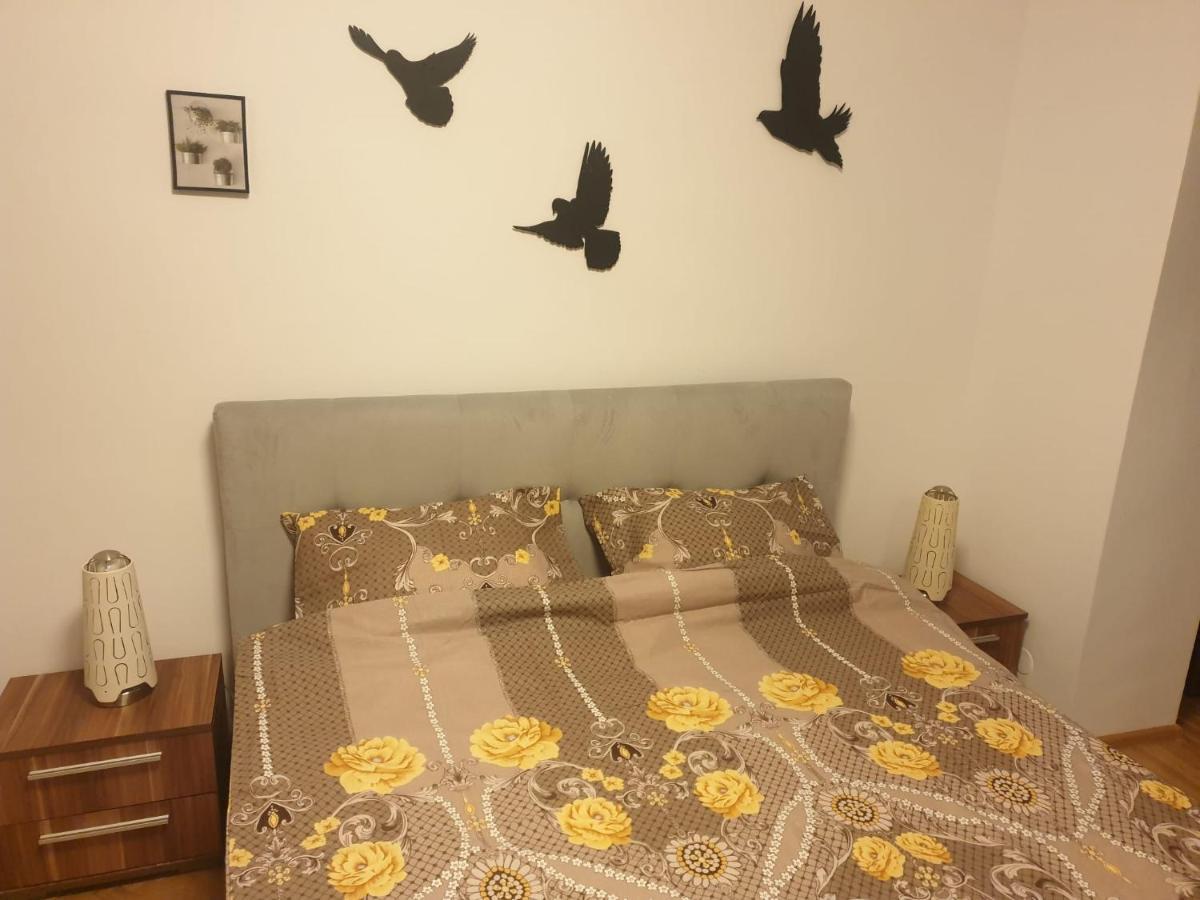Lucky Residence II Брашов Экстерьер фото